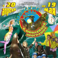 Морские львы в Кисловодске