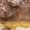 Транзит - интересный подход к Road movie